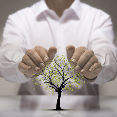 Man wearing white dress shirt holding two hands above a tree signifying environmental protection.